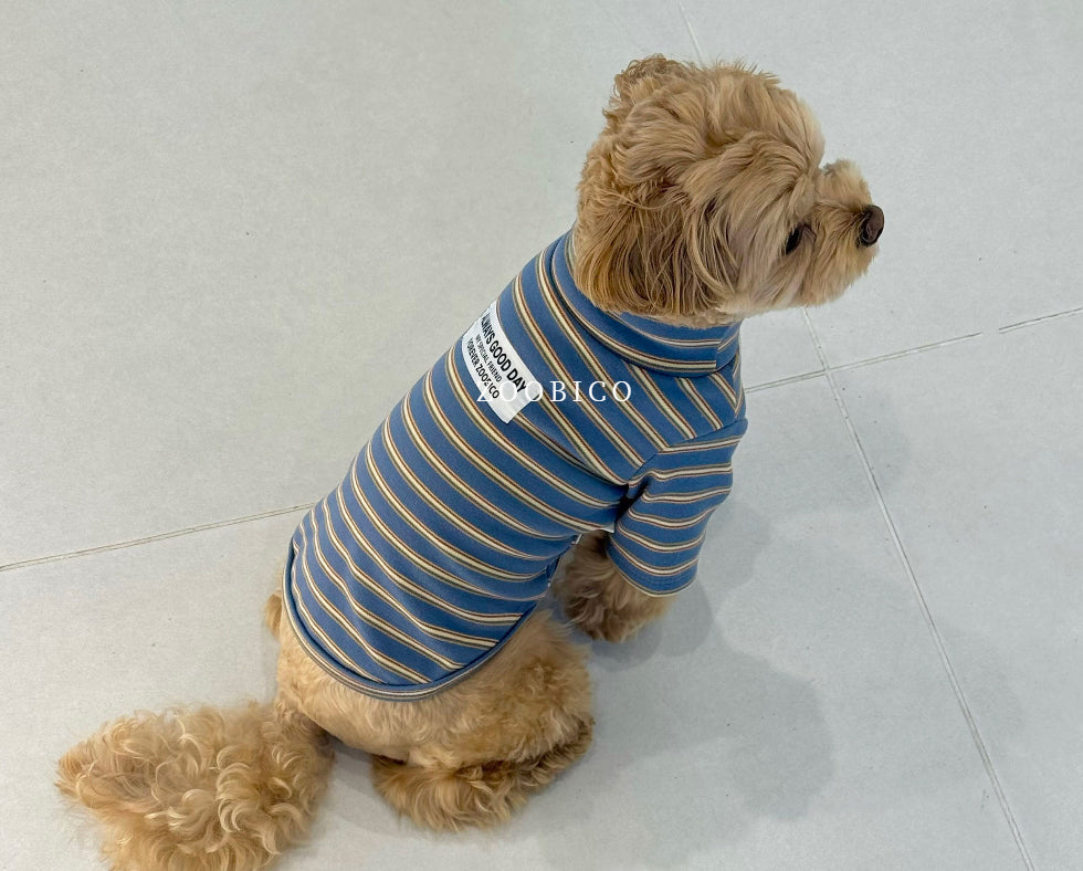 Good Day Stripe Turtleneck Tee (2 colors)