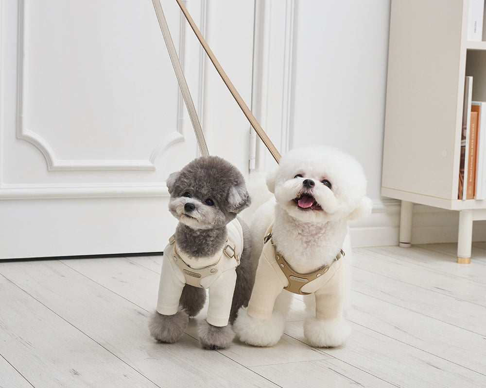 Delight One-Touch Buckle Harness (4 colors) preorder