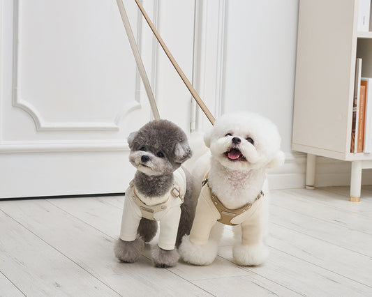 Delight One-Touch Buckle Harness (4 colors) preorder