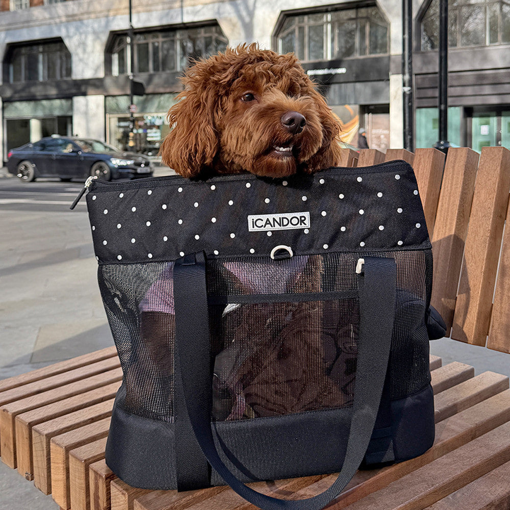 Brisbane Pet Carrier (Capri Black)