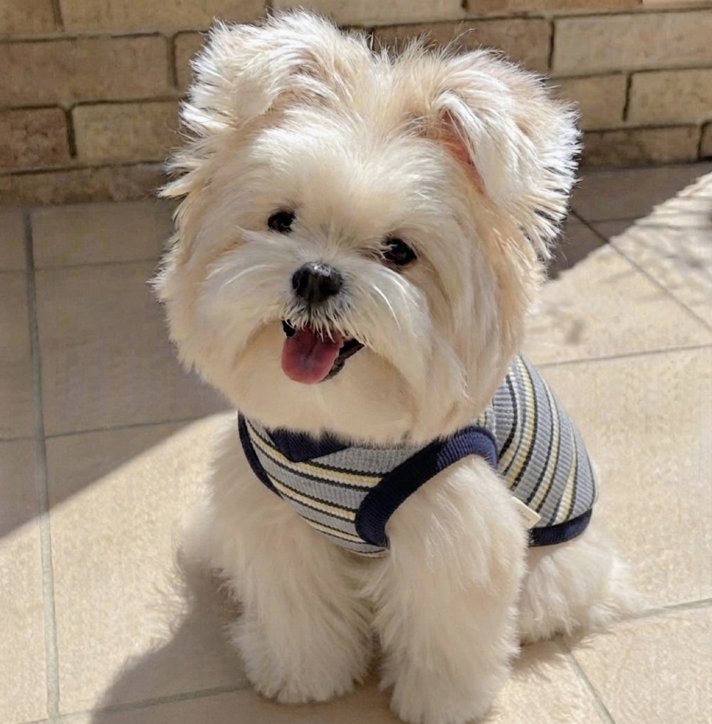 Rugby Stripe Knit Vest (2 colors)