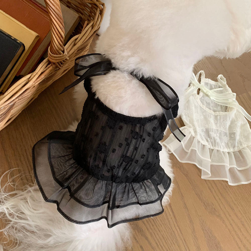 Ballet Sheer Dress (2 colors)