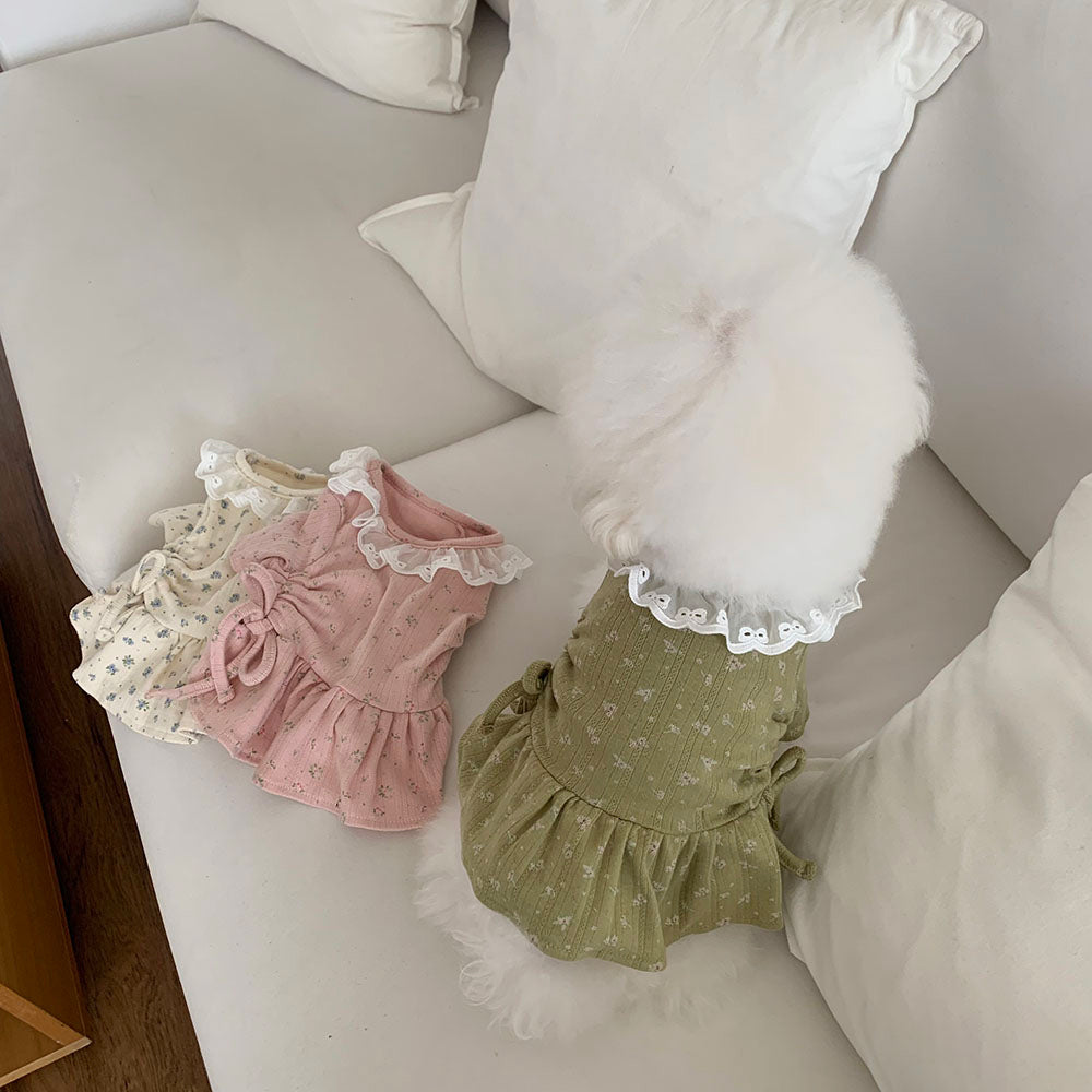 Lace Collar Shirred Dress (3 colors)
