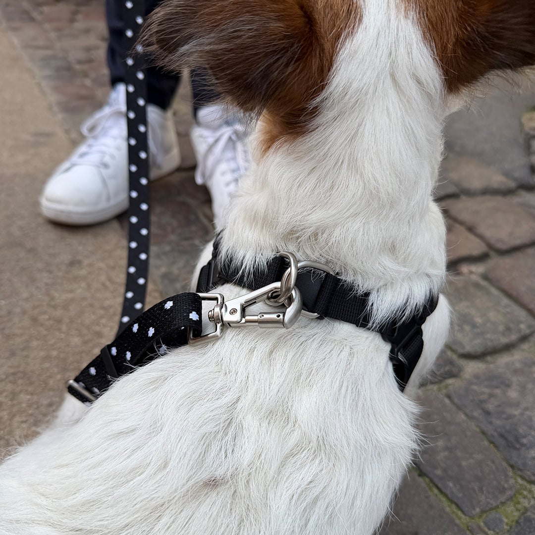 Gentle Leash Bolt, Long (Polka Dot)