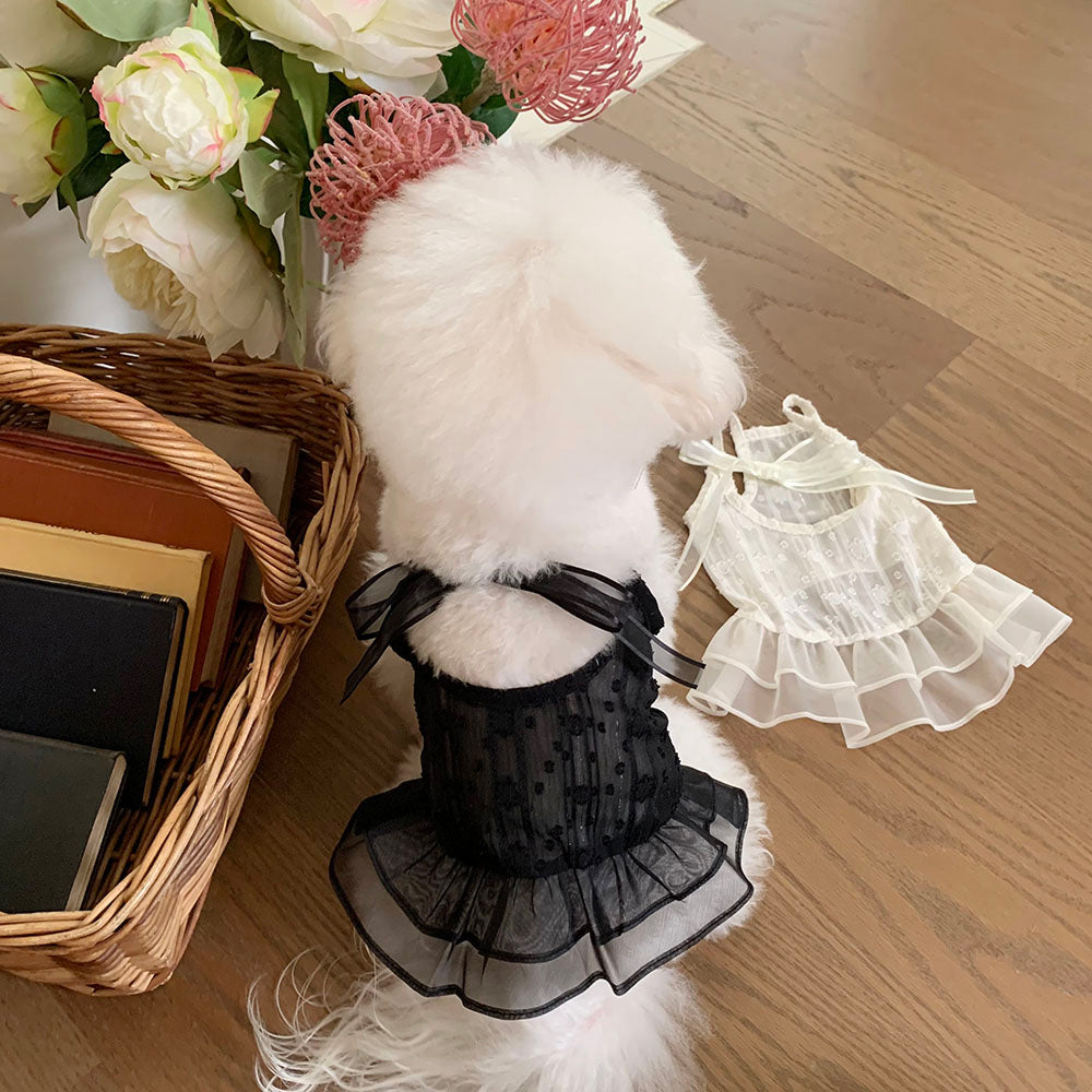 Ballet Sheer Dress (2 colors)