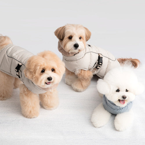 Double Heat Padding Solid Color (2 colors) Preorder