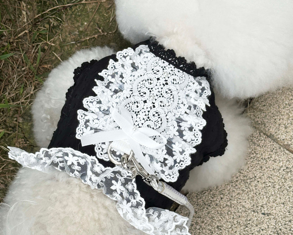 Lace Collar Harness