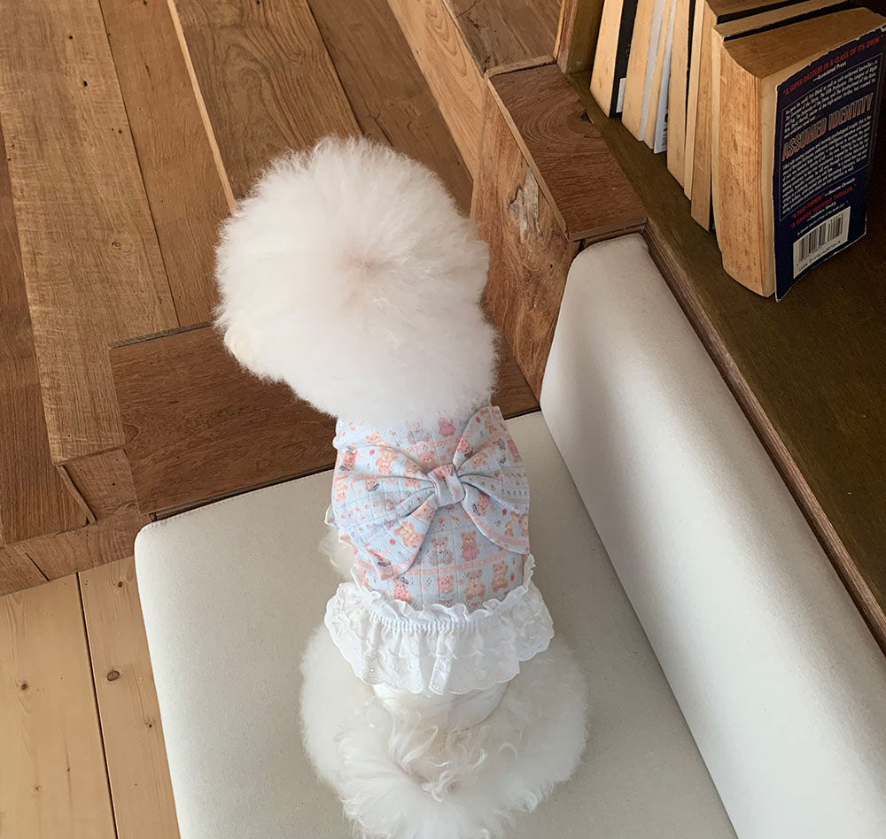 Teddy Bear Ribbon Dress (4 colors)