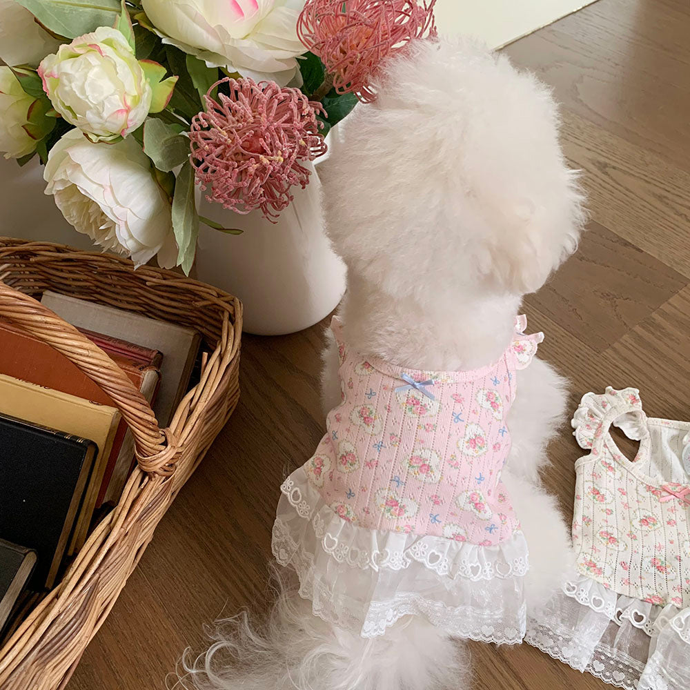 Fairy Petal Frill Dress (3 colors)