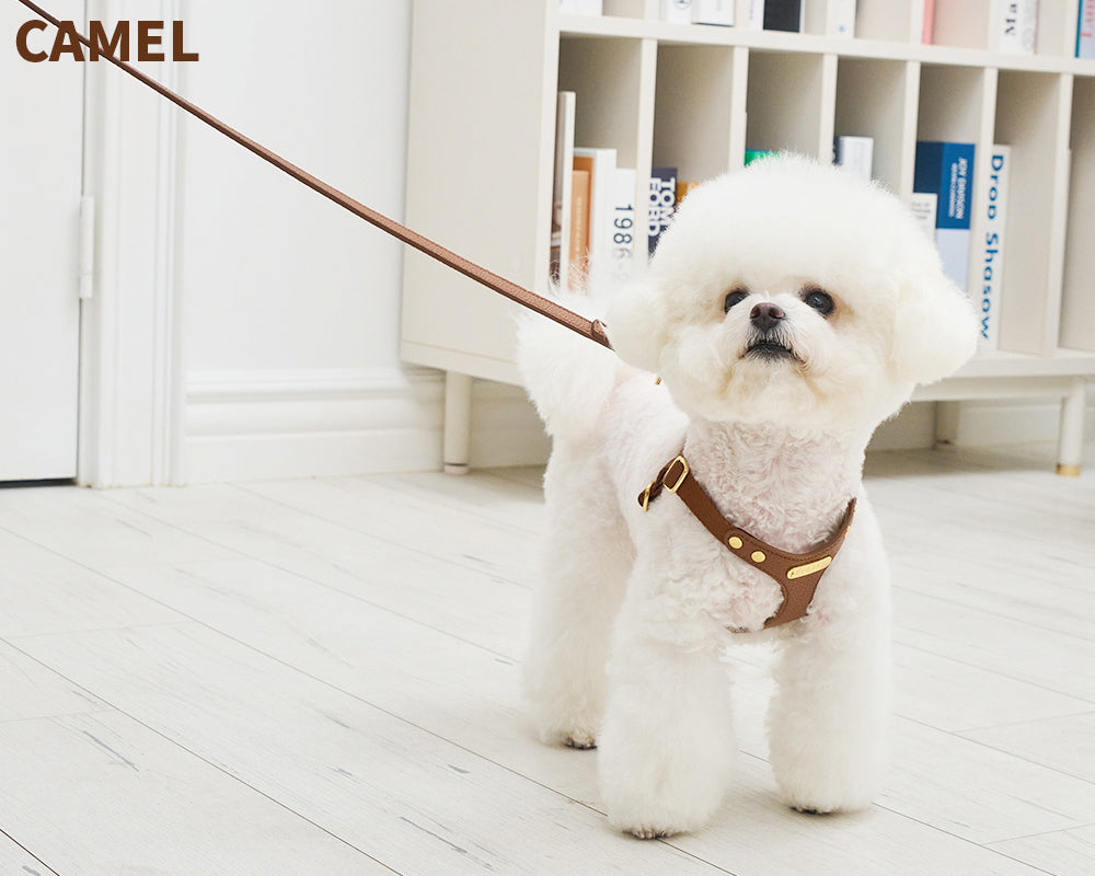 Delight One-Touch Buckle Harness (4 colors) preorder