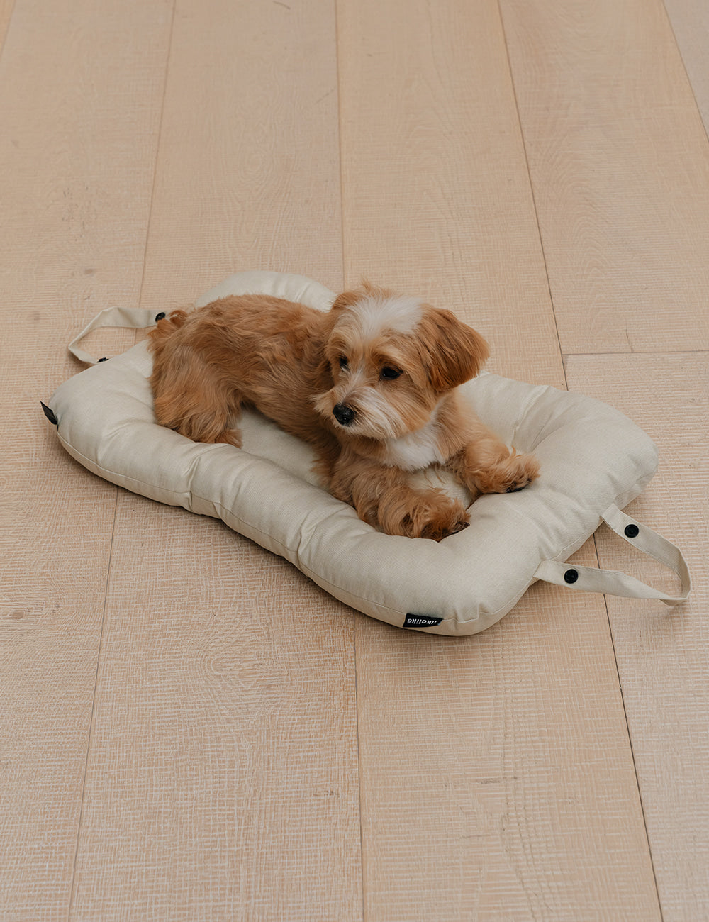 All Day Plus Stroller Additional Items