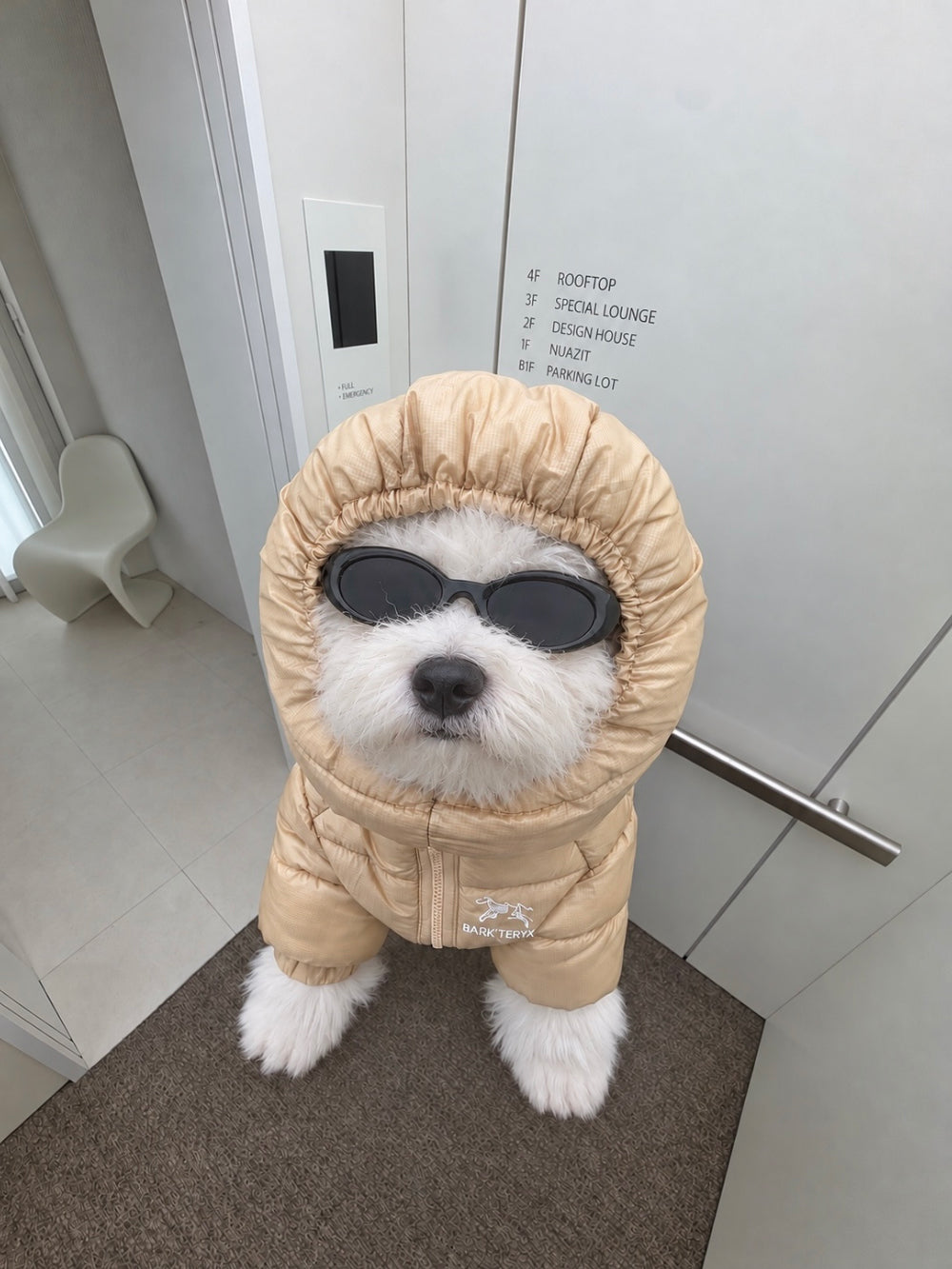 Bark'teryx Lightweight Puffer Jacket (4 colors)