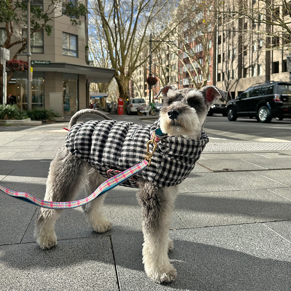 Thermo 3 Edinburgh Check Padding (Black & White) Preorder