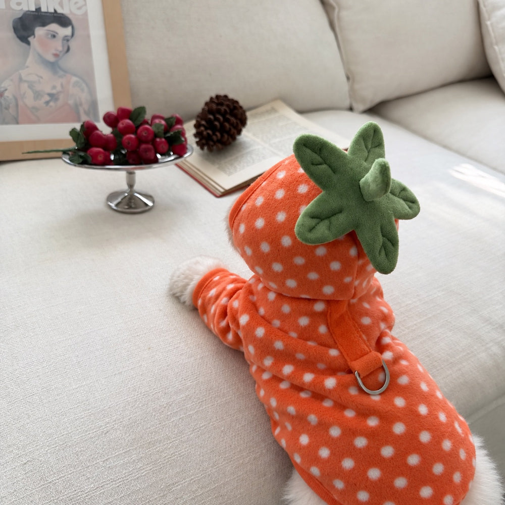 Fruity Dot Fleece Jacket (2 colors)