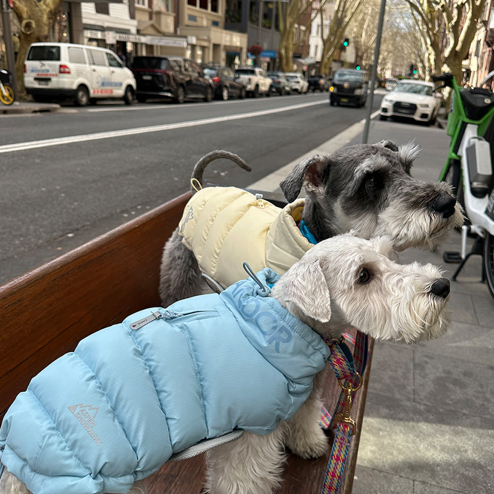 Thermo 3 Adventure Padding (Gentle Blue) Preorder