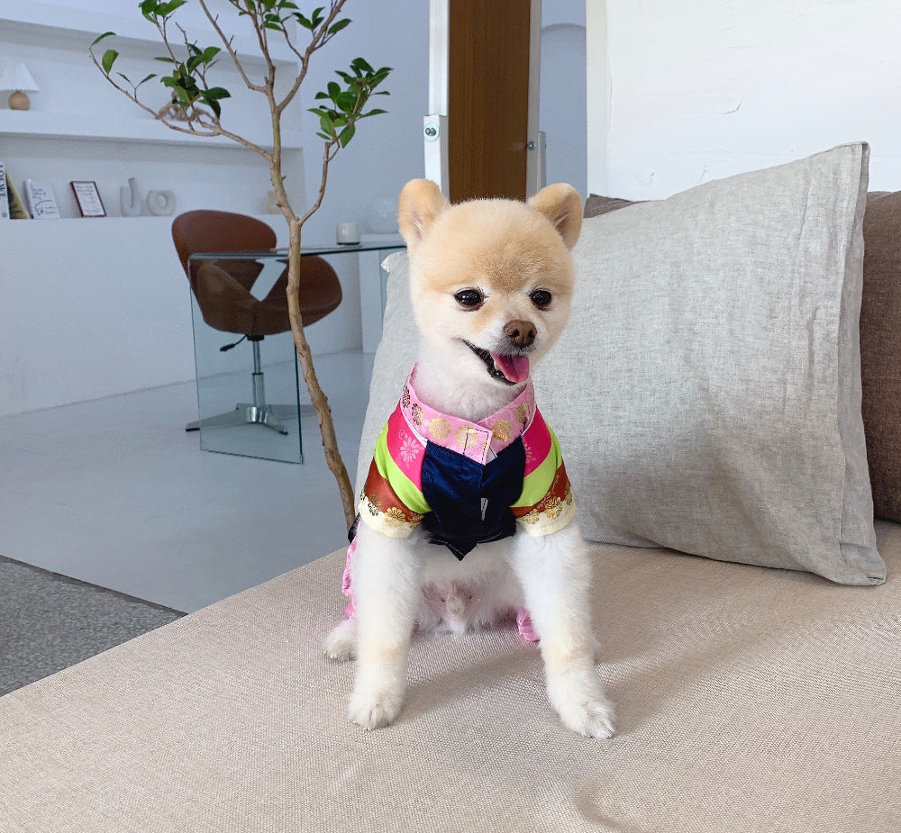 Saekdong Hanbok Onesie