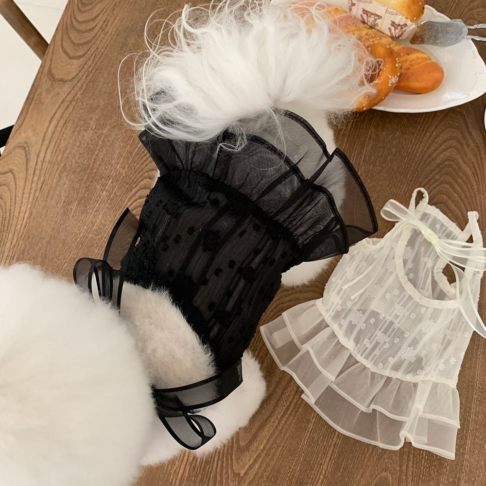 Ballet Sheer Dress (2 colors)