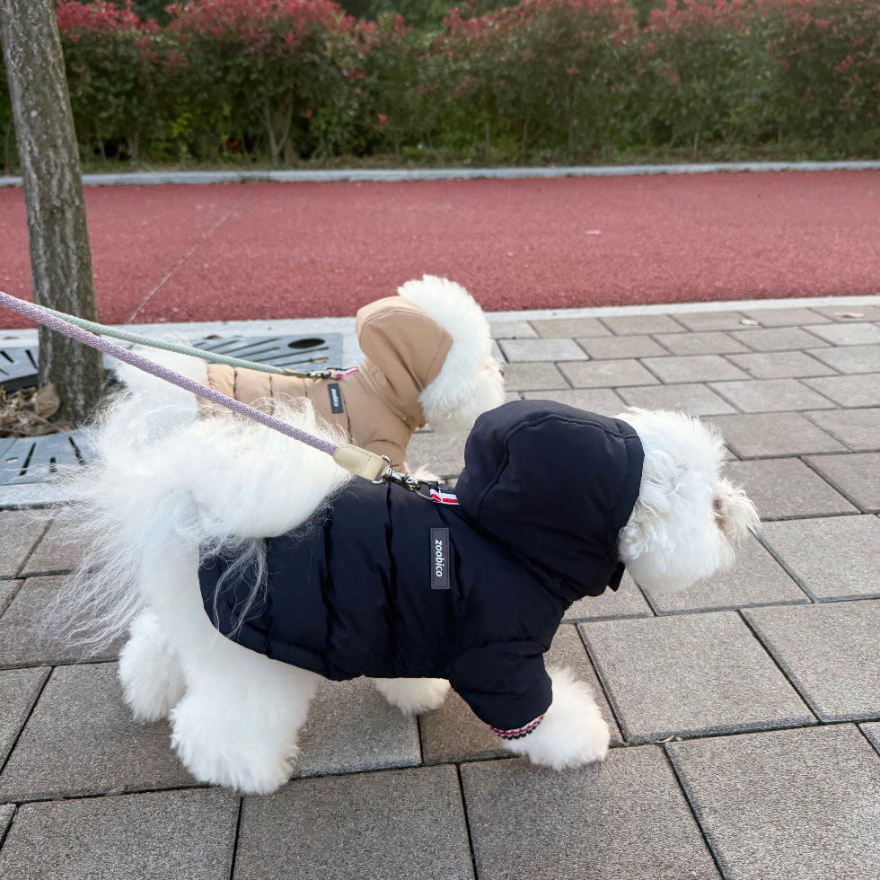 Tricolor Hooded Puffer Jacket (3 colors)