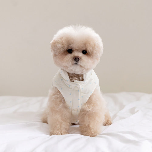 Mongle Reversible Puffer Jacket (3 colors) Preorder