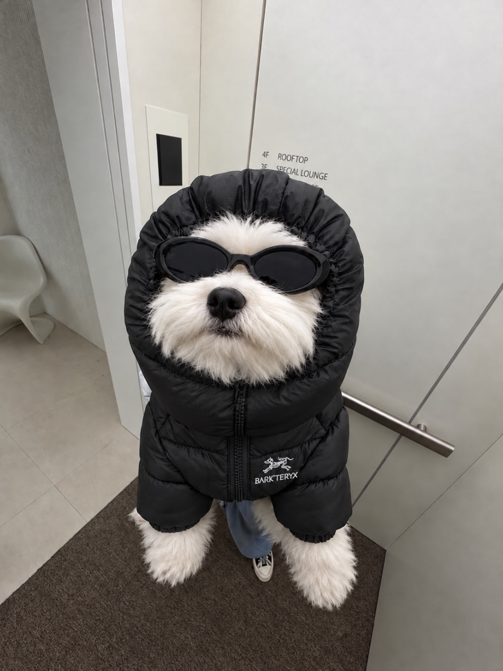 Bark'teryx Lightweight Puffer Jacket (4 colors)