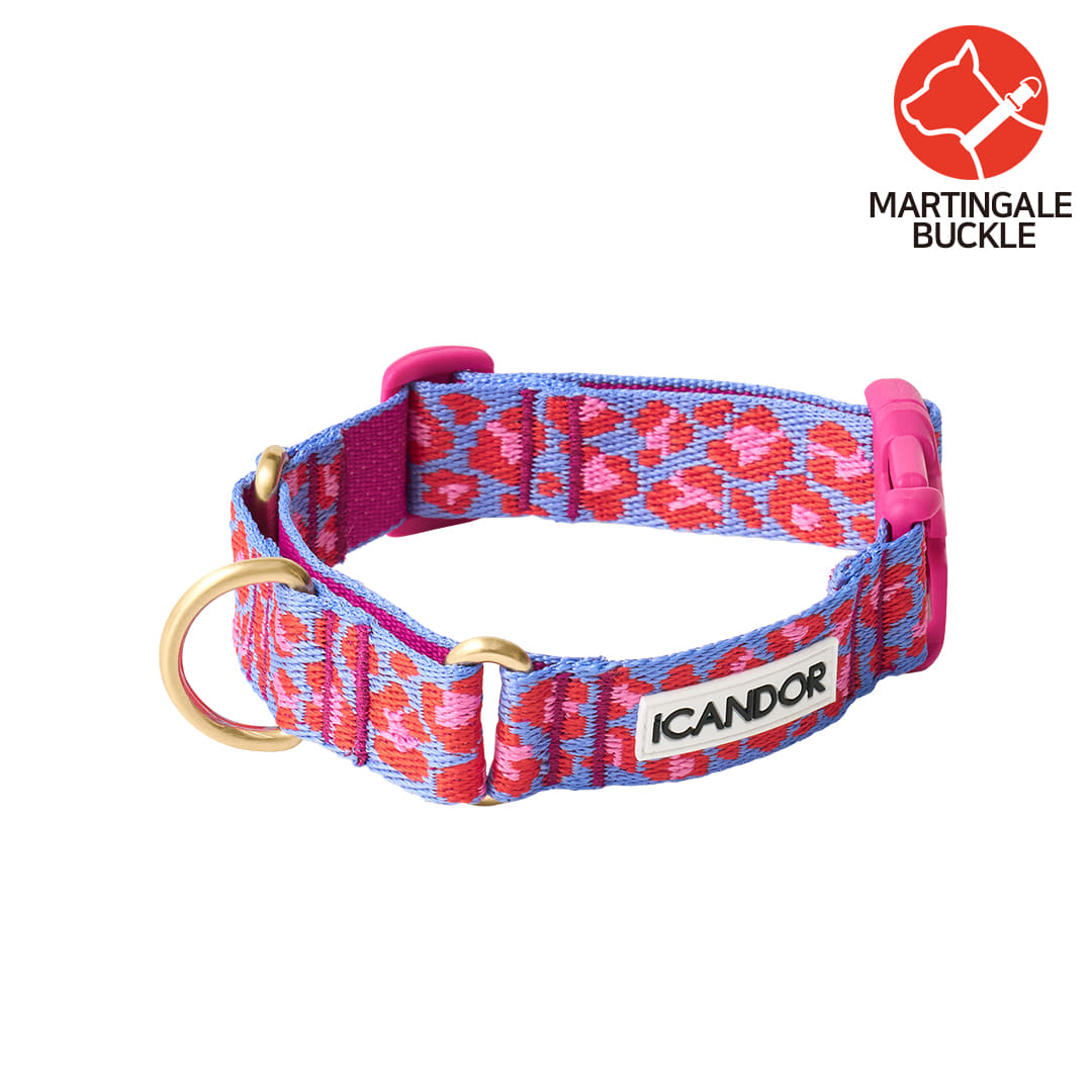 Martingale Collar Buckle (Leopard Lavender Blue)
