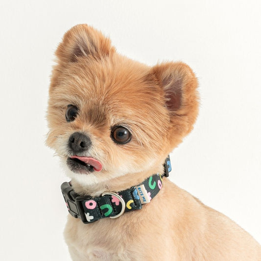 PPP STUDIO - Dog Collar (2 colors)