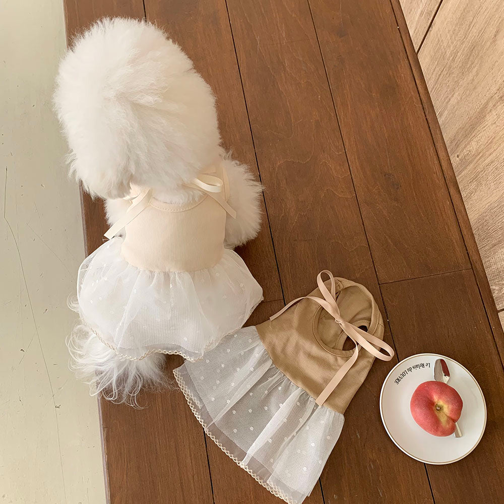 Ballet Ribbed Sleeveless Dress (2 colors)