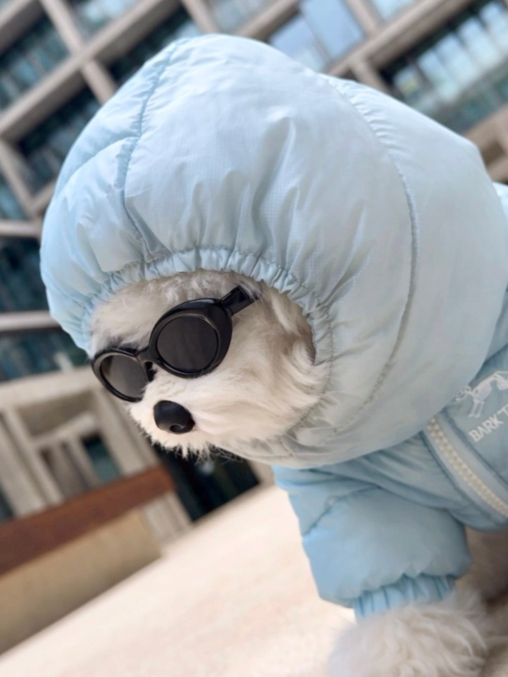 Bark'teryx Lightweight Puffer Jacket (4 colors)