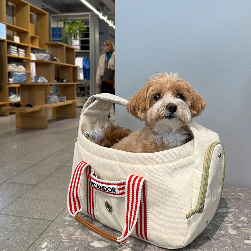 PEEK-A-BOO Pet Sling Bag (Capri)