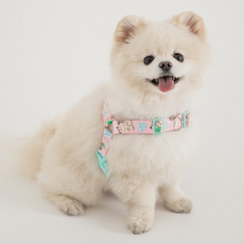 Pokori Friends Adventure Easy L-Harness (3 colors)