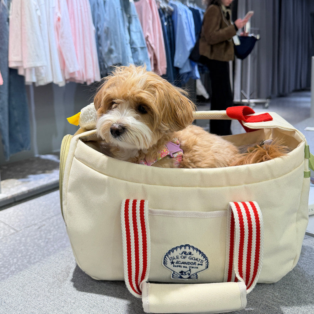 PEEK-A-BOO Pet Sling Bag (Capri)