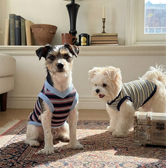 Rugby Stripe Knit Vest (2 colors)