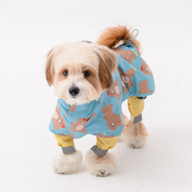 Patterned Raincoat (3 colors)
