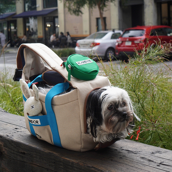 PEEK-A-BOO Pet Sling Bag (Melting Cream)