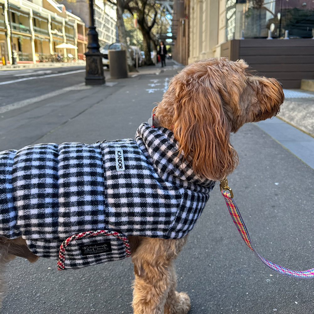 Thermo 3 Edinburgh Check Padding (Black & White) Preorder