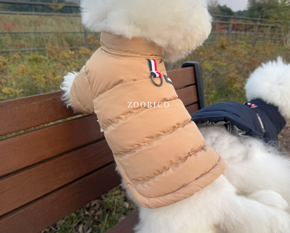 Tricolor Hooded Puffer Jacket (3 colors)