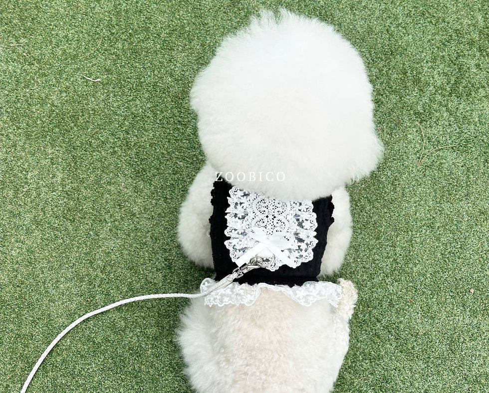 Lace Collar Harness