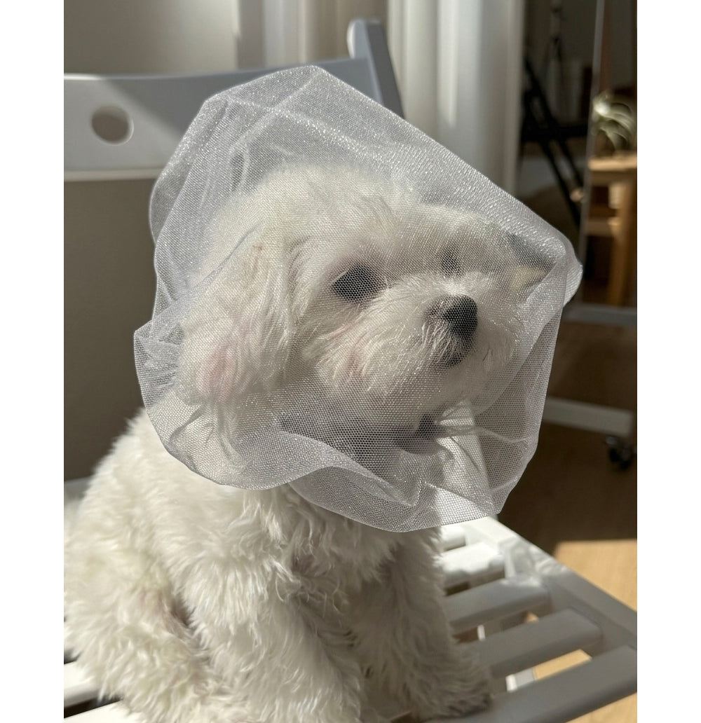 Face Mesh Cover (3 Sizes)
