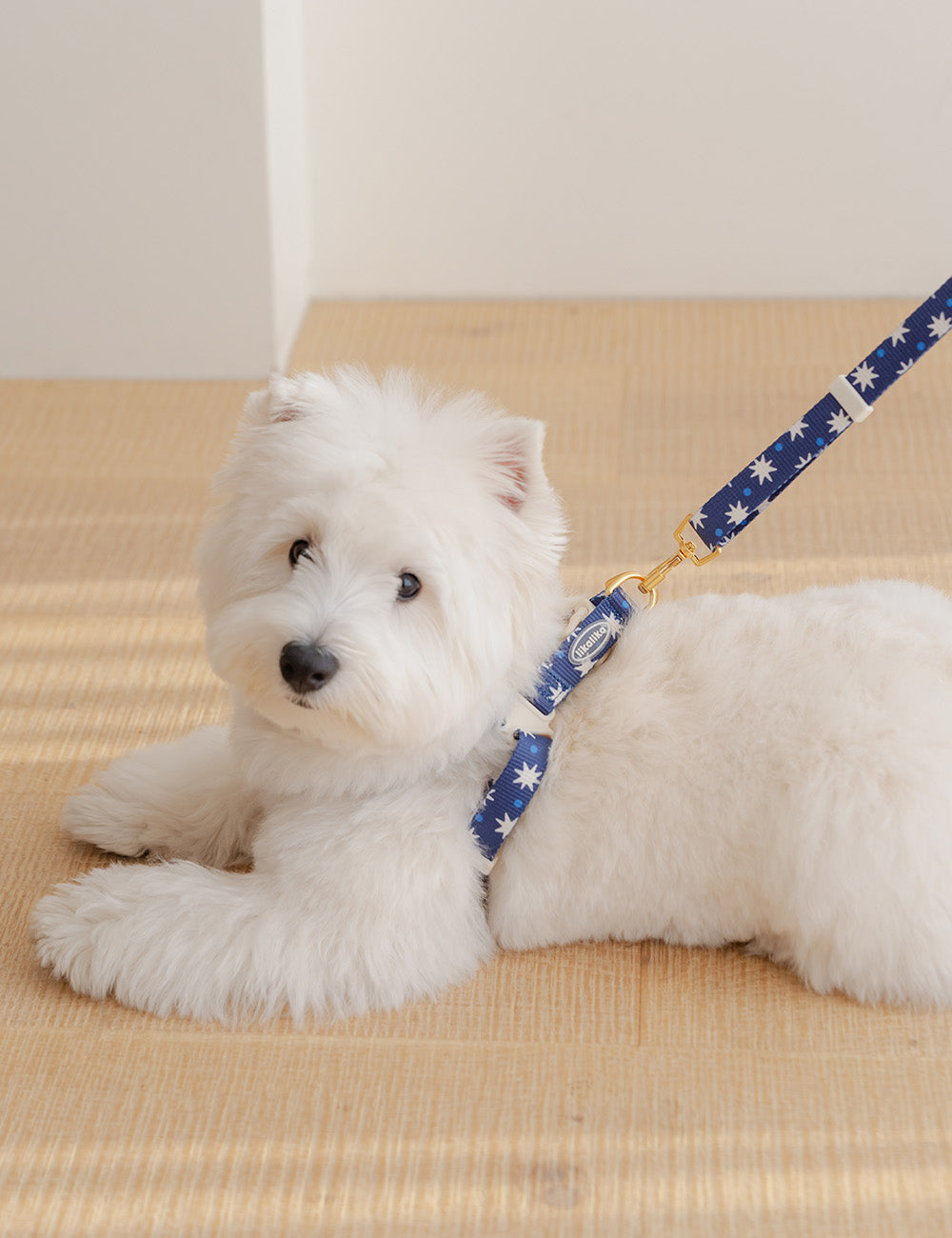Stella Star Pop Dot Harness L-Shape (2 colors)