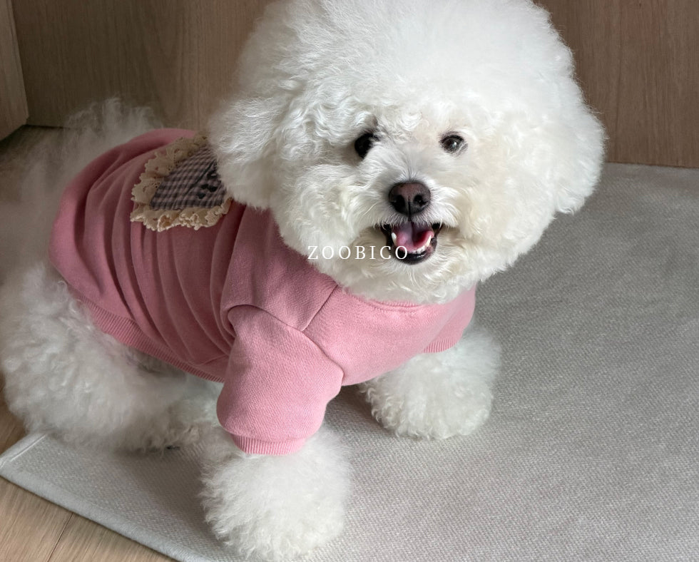 Cuteness Lace Sweatshirt (2 colors)
