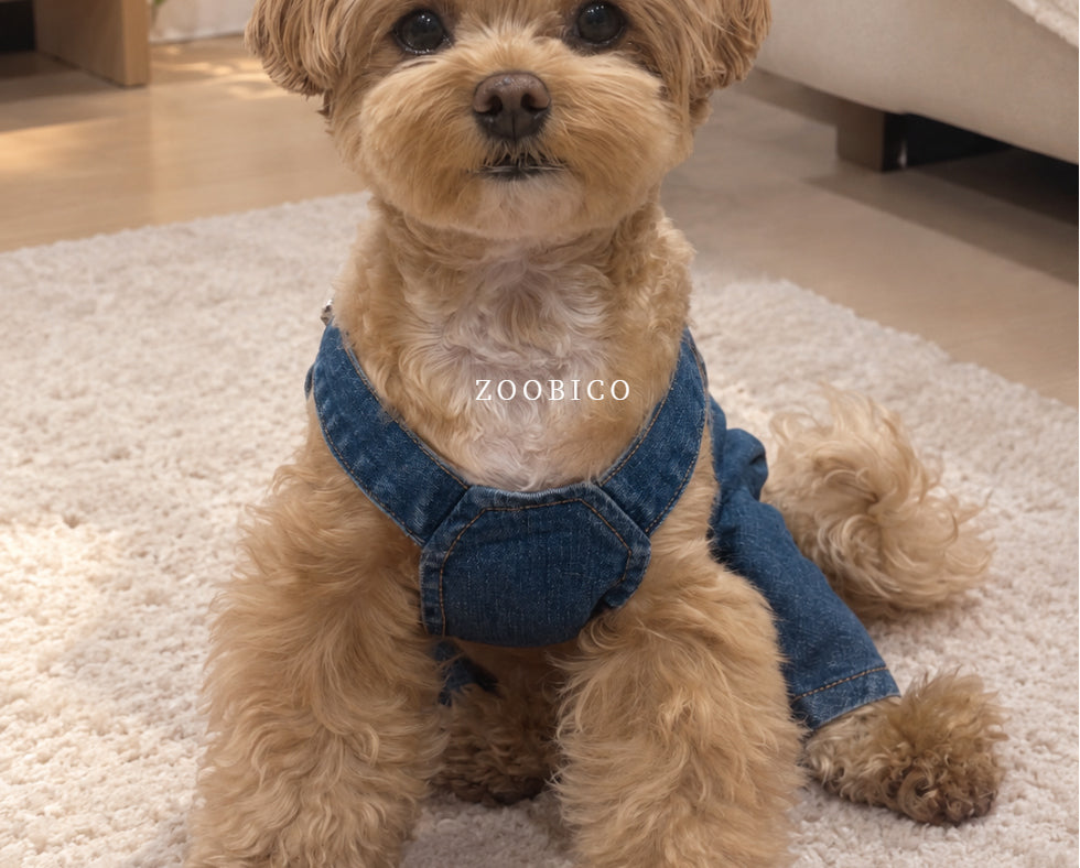 Washed Denim Onesie & Dress