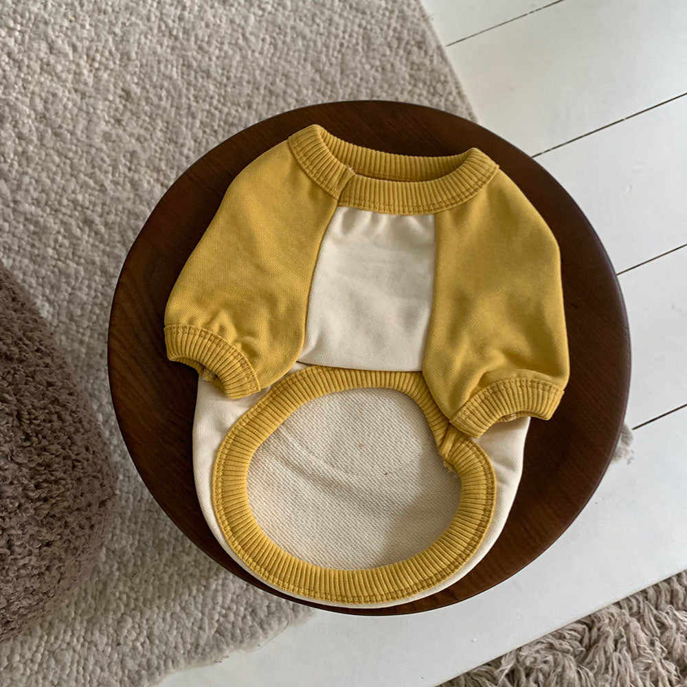 Bear Patch Raglan Sweatshirt (4 colors)