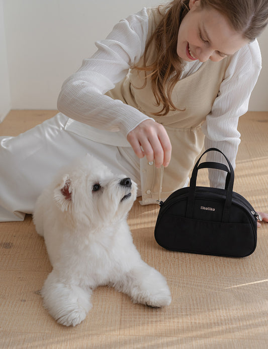 4 Season Walk Bag (2 colors)