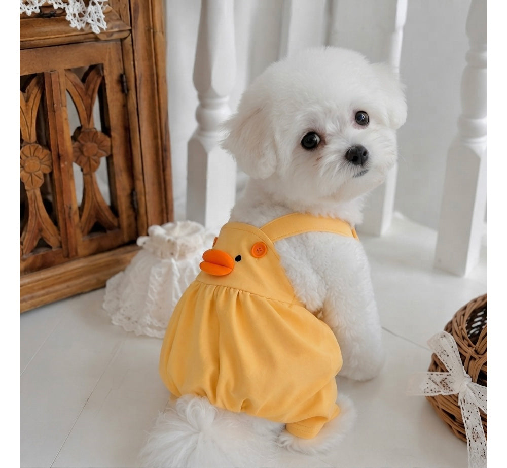 Chick Suspender Dress & Onesie