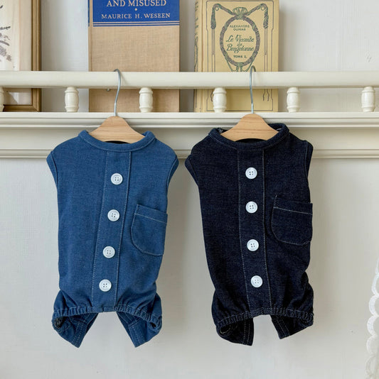 Denim Jumpsuit (2 colors)