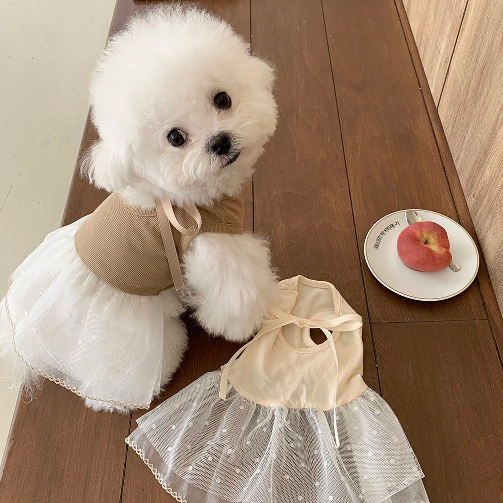 Ballet Ribbed Sleeveless Dress (2 colors)