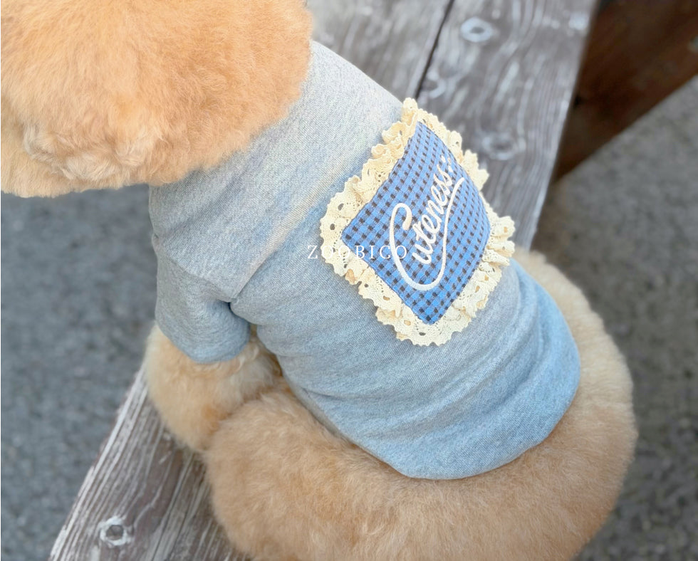 Cuteness Lace Sweatshirt (2 colors)