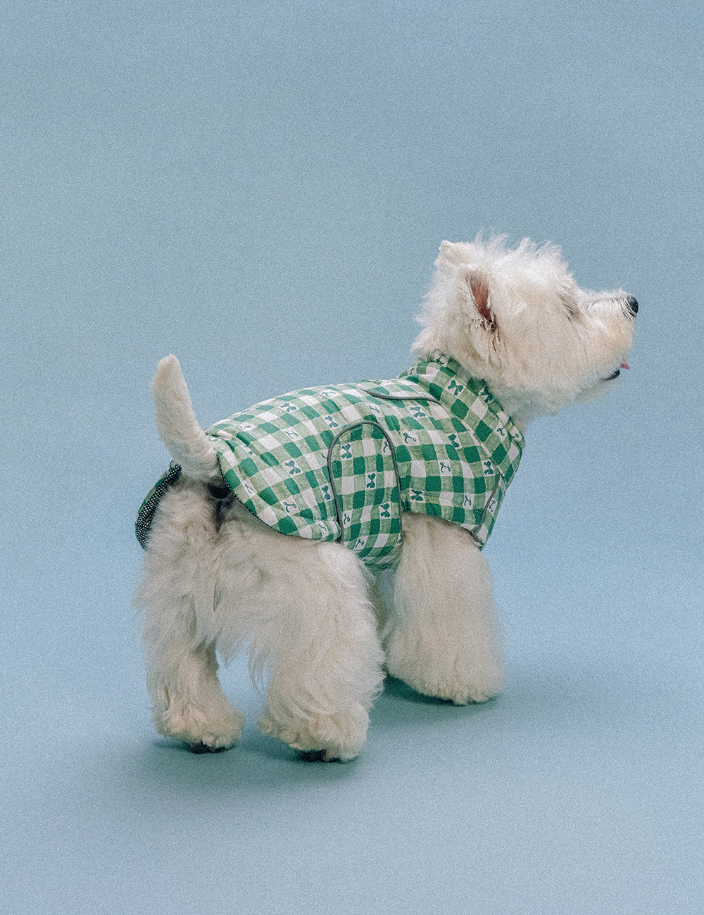 Gingham Thermo-Heat Padded Jacket (3 colors) preorder