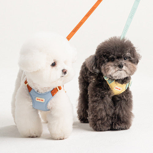 Comfort Harness (3 colors)