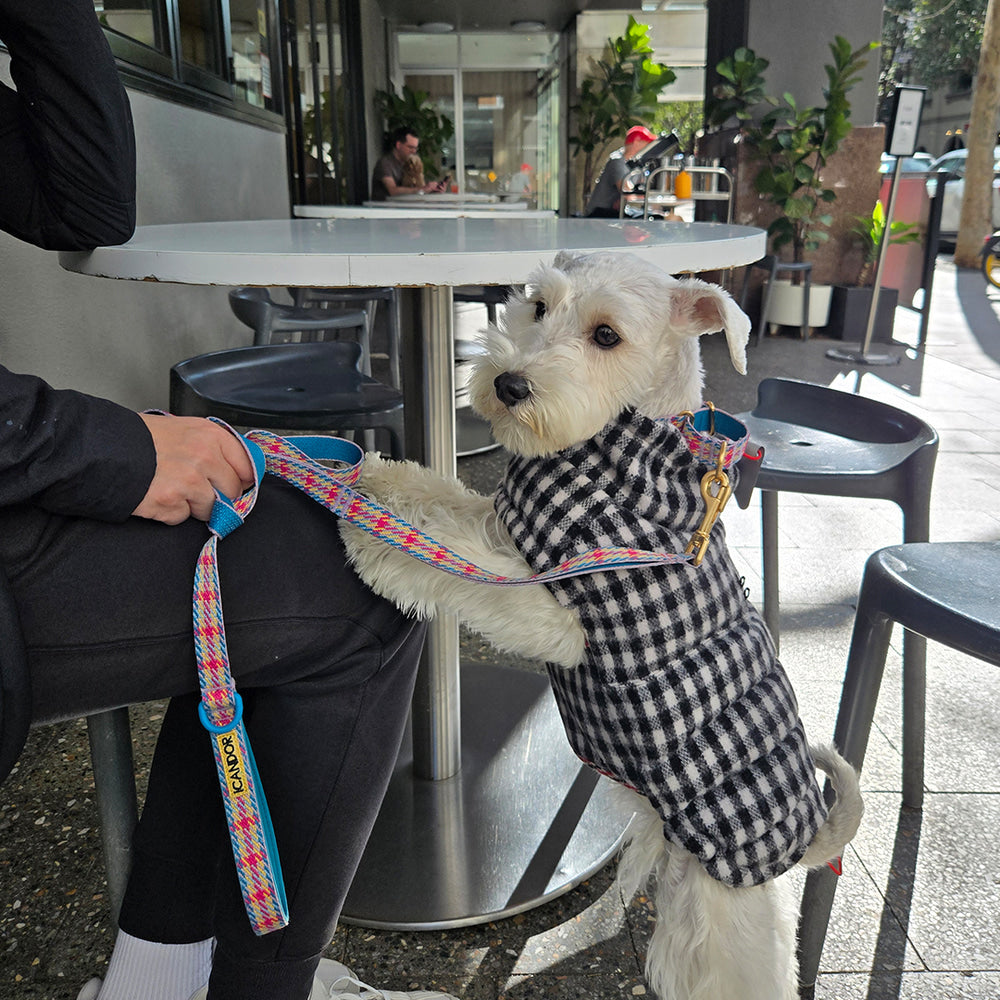 Thermo 3 Edinburgh Check Padding (Black & White) Preorder